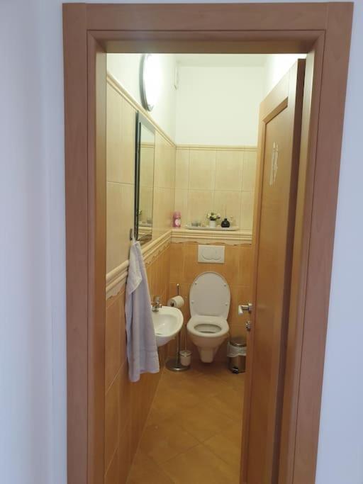 Mezonetovy Apartman V Centre Novej Dubnice Ilava Esterno foto